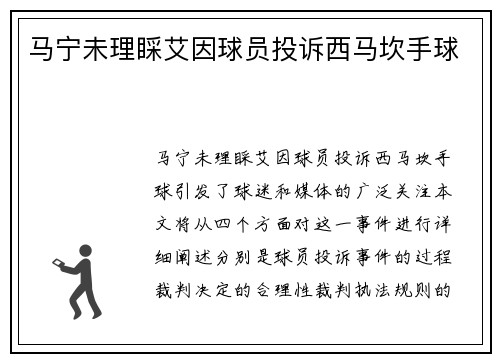 马宁未理睬艾因球员投诉西马坎手球